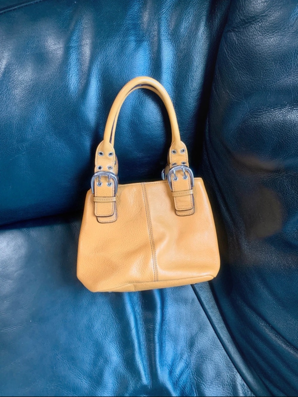 Authentic Vintage Tignanello Mustard Marigold  Yellow Pebbled Leather Buckle Bag